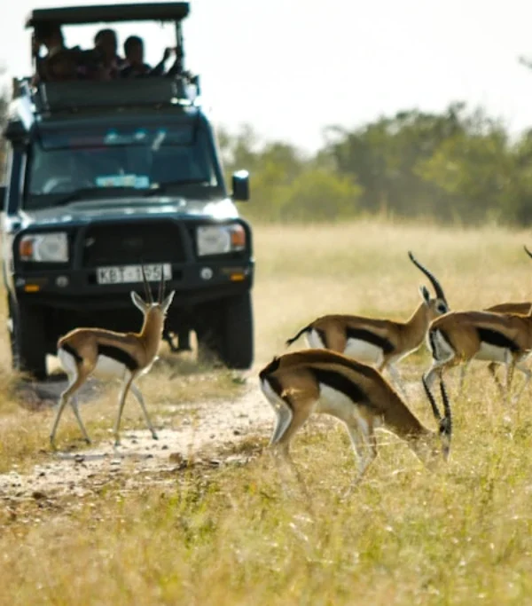 1482850c9638ffbaf179551ee82829385de06541